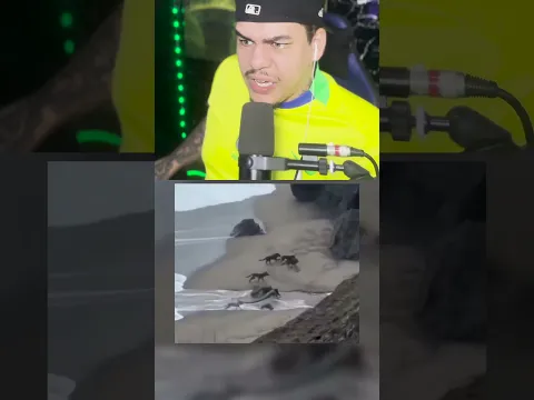 QUE HACEN PERROS EN EL MAR💀