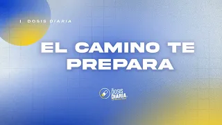 Dosis Diaria Roka - El camino te prepara