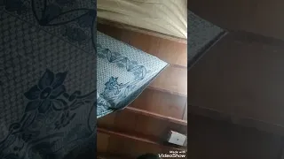 Title مها صبري دق يا قلبي دق من فليم إسماعيل ياسين في السجن أفلام 