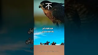 عالدير شدو خيلكم ابيات نخوة بني خالد الخالدي شعر محمدالكدرو ستوريات أجمل قصيدة دير الزور 
