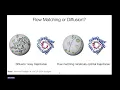 Joey Bose Flow Maps and Normalizing Flows for Accelerated Generative Modelling of Molecules