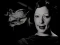 The Noise Of Carpet - Stereolab