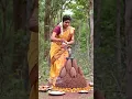 Nag Panchami special 4k WhatsApp status | nag Panchami status #nagpanchami #नागपंचमी #shorts part 13