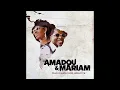 Amadou & Mariam feat. Santigold - Dougou Badia