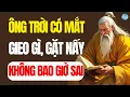 Download Lagu Cổ Nhân Dạy: Sống Thuận Nhân Quả – An Nhiên Một Đời, Bình Yên Vạn Kiếp