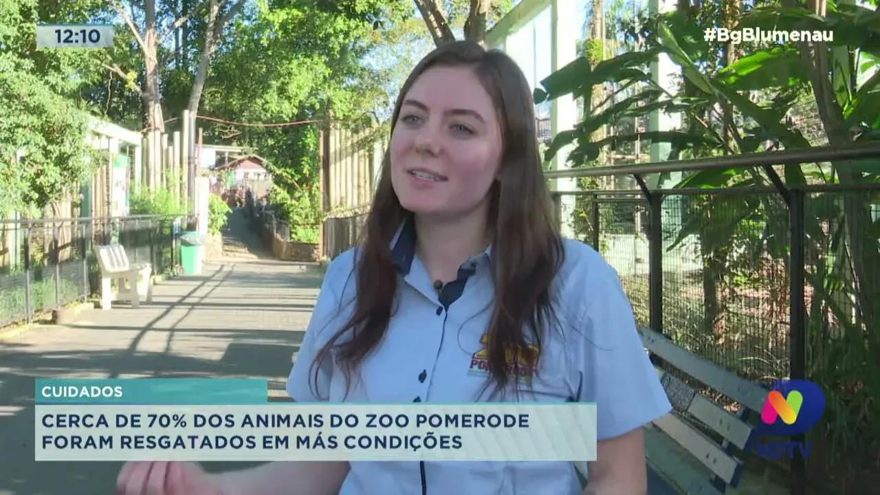 Cuidados: cerca de 70% dos animais do Zoo Pomerode foram resgatados em más condições