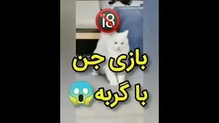 بازی جن باگربه وحشتناک ترین ویدیوی یوتیوب ارواح اجنه  بازی جن باگربه وحشتناک ترین ویدیوی یوتیوب ارواح اجنه