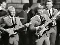 NEW 📀 I Fought The Law - Bobby Fuller Four {Stereo} 1966