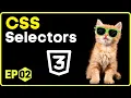 CSS Selectors CSS in Hindi - 2