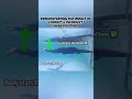 Floating Sinking Tips for beginners Swimming Tips