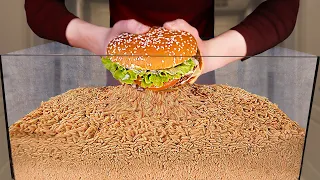 how quickly the maggots eat burger