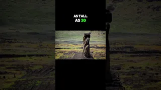 Https Youtu Be IN02kpPyixE Si DacJAWFKU AsR7yd FactsByHandN 