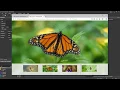 How to Create an Advanced Preloader