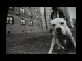 Aggressive Hardcore Rap Beat "PITBULL" Old School Hip Hop Instrumental | Cavula