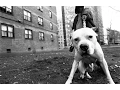 Download Lagu Aggressive Hardcore Rap Beat \