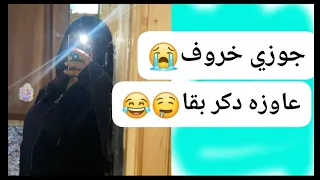                                                             دندنها