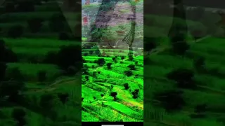 اجمل اغاني الفنان ايوب طارش شتخيلك لما الصباح يطلع دندنها