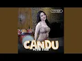 Download Lagu Candu Live