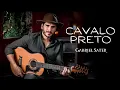 CAVALO PRETO – Gabriel Sater - Áudio CD