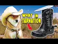 The Truth of Cowboy Crocs