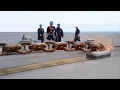 Download Lagu Insane Process of Dropping Massive Anchors in the US Navy