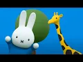 Download Lagu nijntje in de dierentuin | Nijntje's Avonturen Groot \u0026 Klein | Nieuw | Aflevering 14
