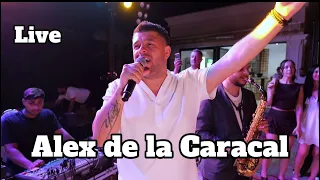 alex de la caracal dac nu dormi sun m varianta live 2025