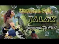 Download Lagu Masteran burung jalak ngomong cewek!!Putarkan suara ini dgn rutin biar bisa ngomong..