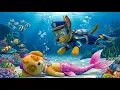 Lagu Hurry Up! CHASE Saves SKYE Mermaid from the Bottom of the Sea!? | Paw Patrol 3D Animation |Rainbow 3