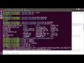Introduction to Go part 2 Setting Up a Development Environment