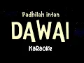 Download Lagu DAWAI // PADHILAH INTAN //KARAOKE MUSIK