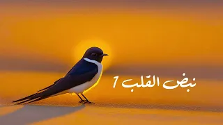 أغنية نبض القلب باللهجة النبكية سوريا 1 