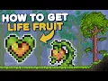 How to find Life Fruits in Terraria