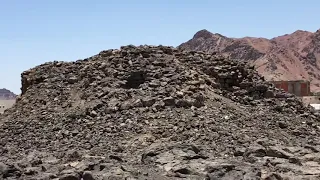 اطم صرار دندنها