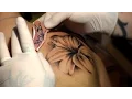 Lily Flower Tattoo Time Lapse session one