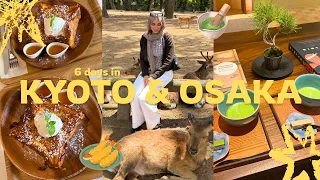 everything I ate in KYOTO & OSAKA | must try cafes, best restaurants, universal studios japan vlog