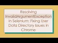 Resolving InvalidArgumentException in Selenium Fixing User Data Directory Issues in Chrome