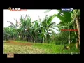 Download Lagu Jejak Jejak Misterius Trans 7 - 25 Mei 2015 - Sang Pembunuh Bawah Air Sungai Cimatu Full
