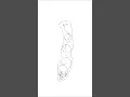 Layout for flare cut scroll