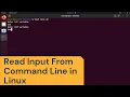 How to Read Input in Bash Script