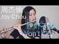 Download Lagu 周杰倫 Jay Chou - 說好不哭 Won't Cry ft. Mayday Ashin [Flutecookies cover]