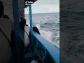 Download Lagu Story Santai di pantai naik perahu