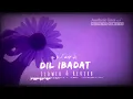 Dil ibadat دل عبادت   ||  Slowed + Reverb    Remake Hindi lofi || Aesthetics Acoustics by kzr