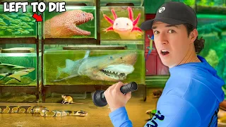 i found an abandoned attic full of live fish 