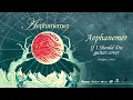 Aephanemer If I Should Die - Full Instrumental Dual Guitar Cover