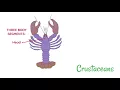 Arthropods