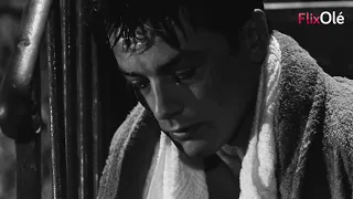 Rocco Y Sus Hermanos Luchino Visconti 1960 