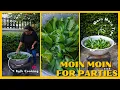 Download Lagu HOW TO COOK MOINMOIN FOR PARTIES - BULK COOKING - SISI YEMMIE