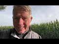 Download Lagu ARD, das ist nicht euer Ernst?Kinder festgenommen für likes! Islamkritik  führt zu Entlassungen! 