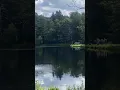 Madden No Data Centers on Pristine Pocono Woodlands